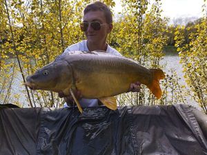 Mirror Carp