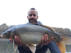 Mirror Carp