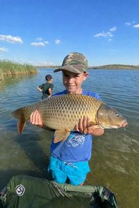 Common Carp