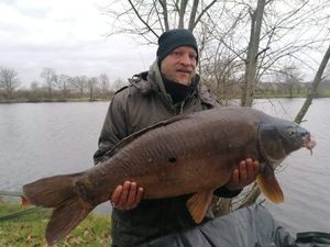 Mirror Carp