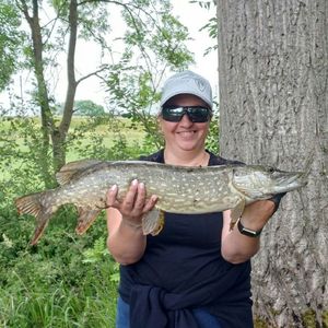 Northern Pike