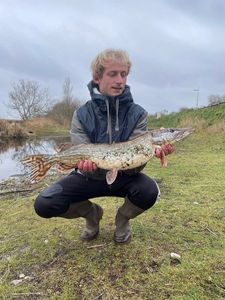 Northern Pike