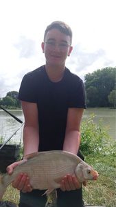 Common Bream