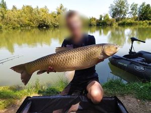 Grass Carp