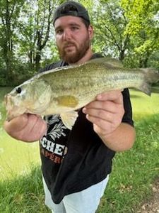 Largemouth Bass