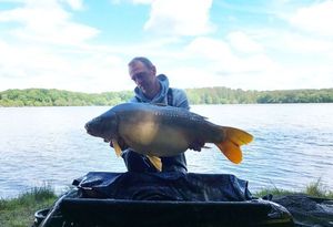 Mirror Carp