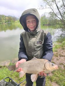 Common Bream