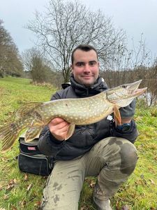 Northern Pike