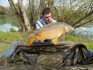 Mirror Carp