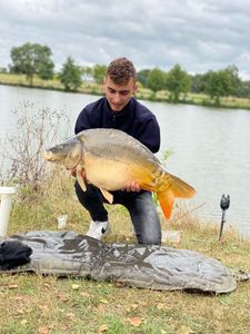 Mirror Carp