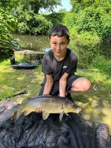 Common Carp