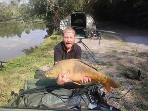 Mirror Carp
