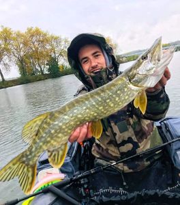 Northern Pike