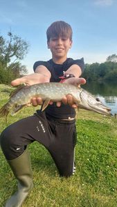 Northern Pike