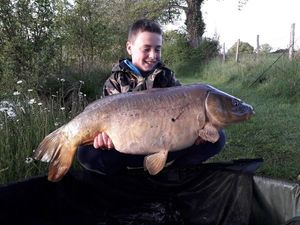 Mirror Carp