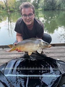 Mirror Carp
