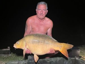 Mirror Carp