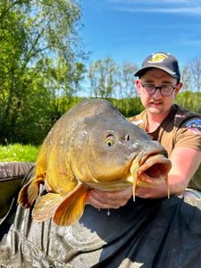 Mirror Carp
