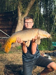 Common Carp
