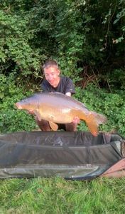 Mirror Carp