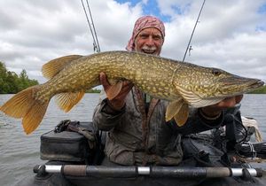 Northern Pike