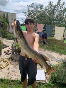 Northern Pike