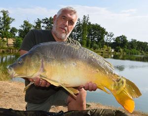 Mirror Carp