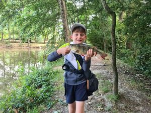 European Perch