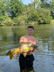 Mirror Carp