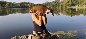 Common Bream