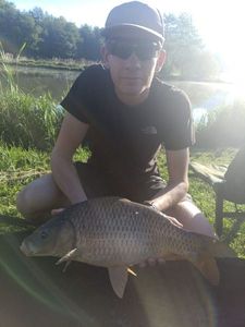 Common Carp