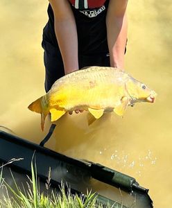 Mirror Carp