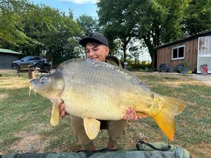 Mirror Carp