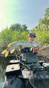 Northern Pike