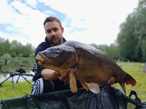 Mirror Carp