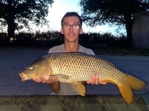 Common Carp