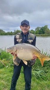 Mirror Carp