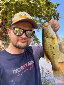 Largemouth Bass