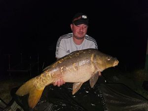 Mirror Carp