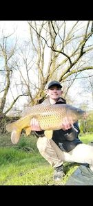 Common Carp