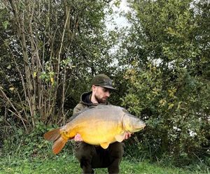 Mirror Carp