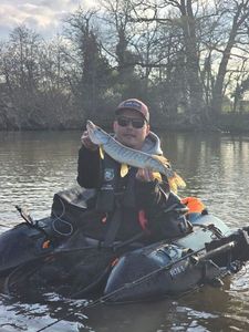 Northern Pike