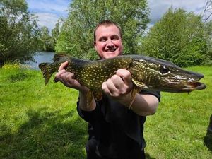 Northern Pike