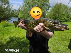 Northern Pike