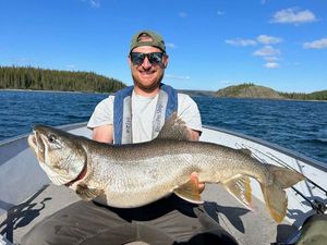 Lake Trout