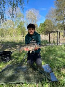 Mirror Carp