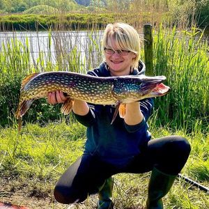 Northern Pike