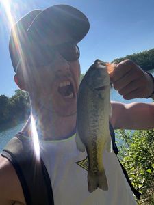 Largemouth Bass