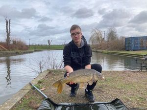 Common Carp