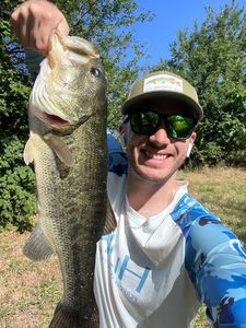 Largemouth Bass